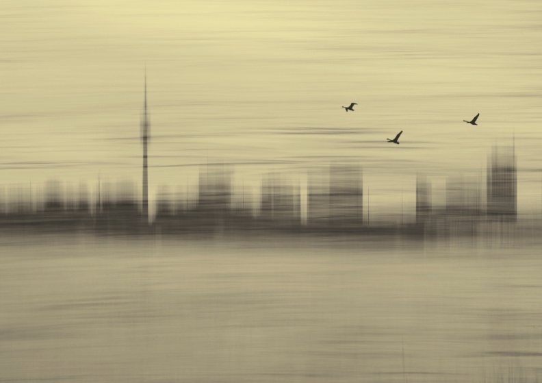 walsch Dreamy-City-Imagination-2012.jpg