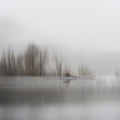 walsch Escaping-The-Fog-2011.jpg