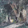 Nurit rotbaum 70x27.5 oil on canvas.jpg