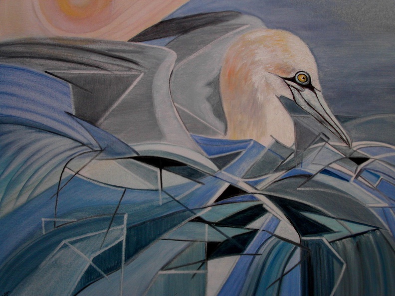 Halter Ingrid - Basstölpl im Wasser, 50x70 cm.JPG