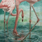Menzinger Stefanie - Flamingos I 2017