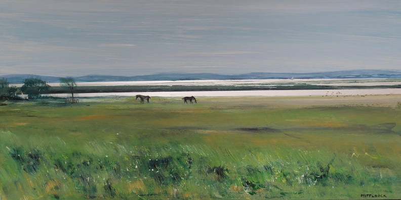 Mittlboeck - Burgenland Lange Lacke 40x79 cm 2016.JPG