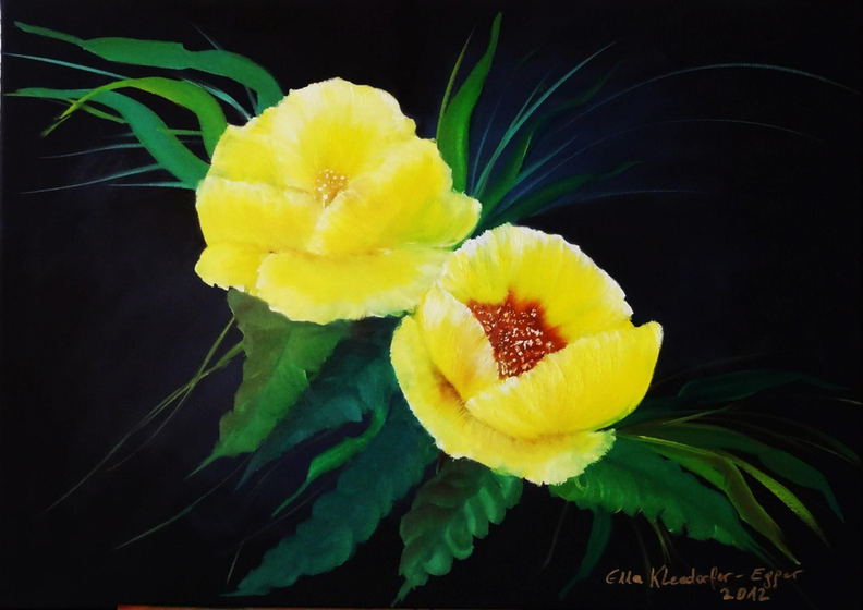 Gelbe Mohnblüten, Öl auf Leinen, 50x70 cm.png