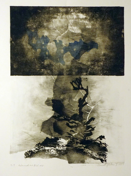 Jüttner Renate, HImmel, wo bist du, Lithographie, 70x50 cm.jpg