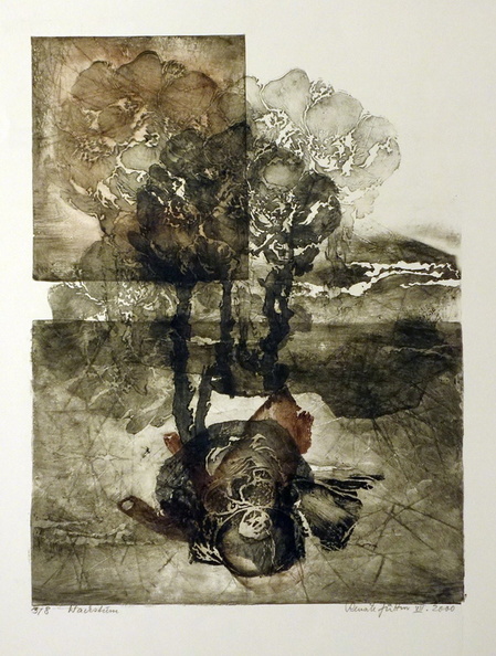 Jüttner Renate, Wachstum, Lithographie, 70x50 cm.jpg